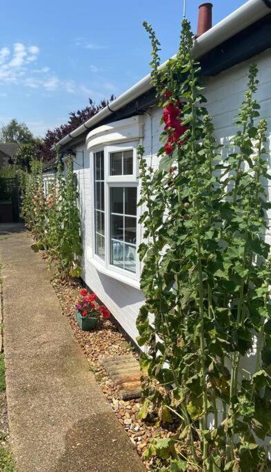 Field Cottage Whittlesey 외부 사진